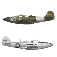 P-39 Airacobra RECON 1/48