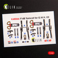 F-14B Tomcat interior 3D decals for GWH kit 1/48