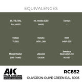 RC852 Olivgrün-Olive Green RAL 6003 17ml