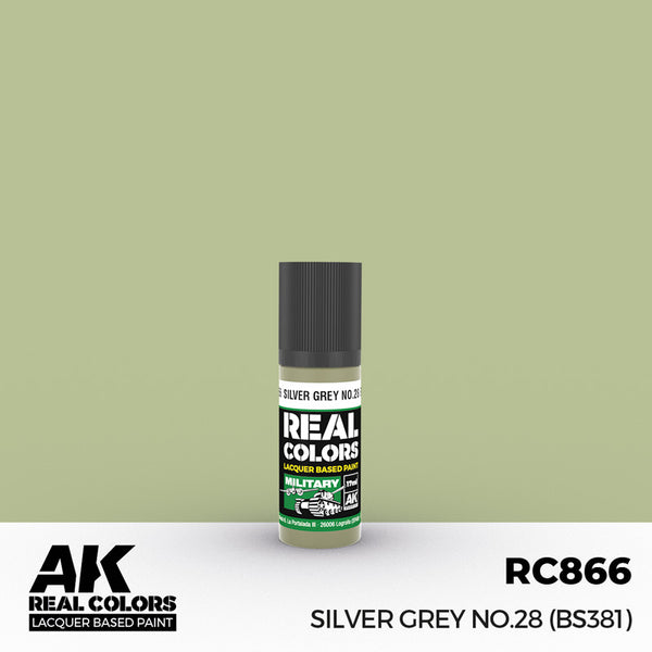 RC866 Silver Grey No.28 (BS381) 17ml